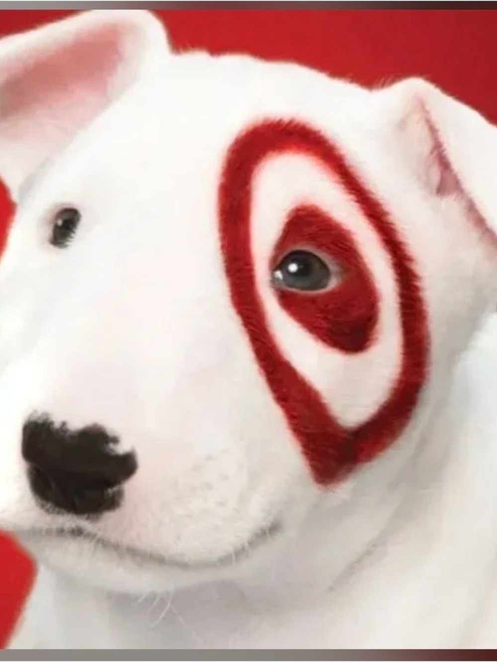 Universal Thread White Dog Plush with Red Eye Target Mark